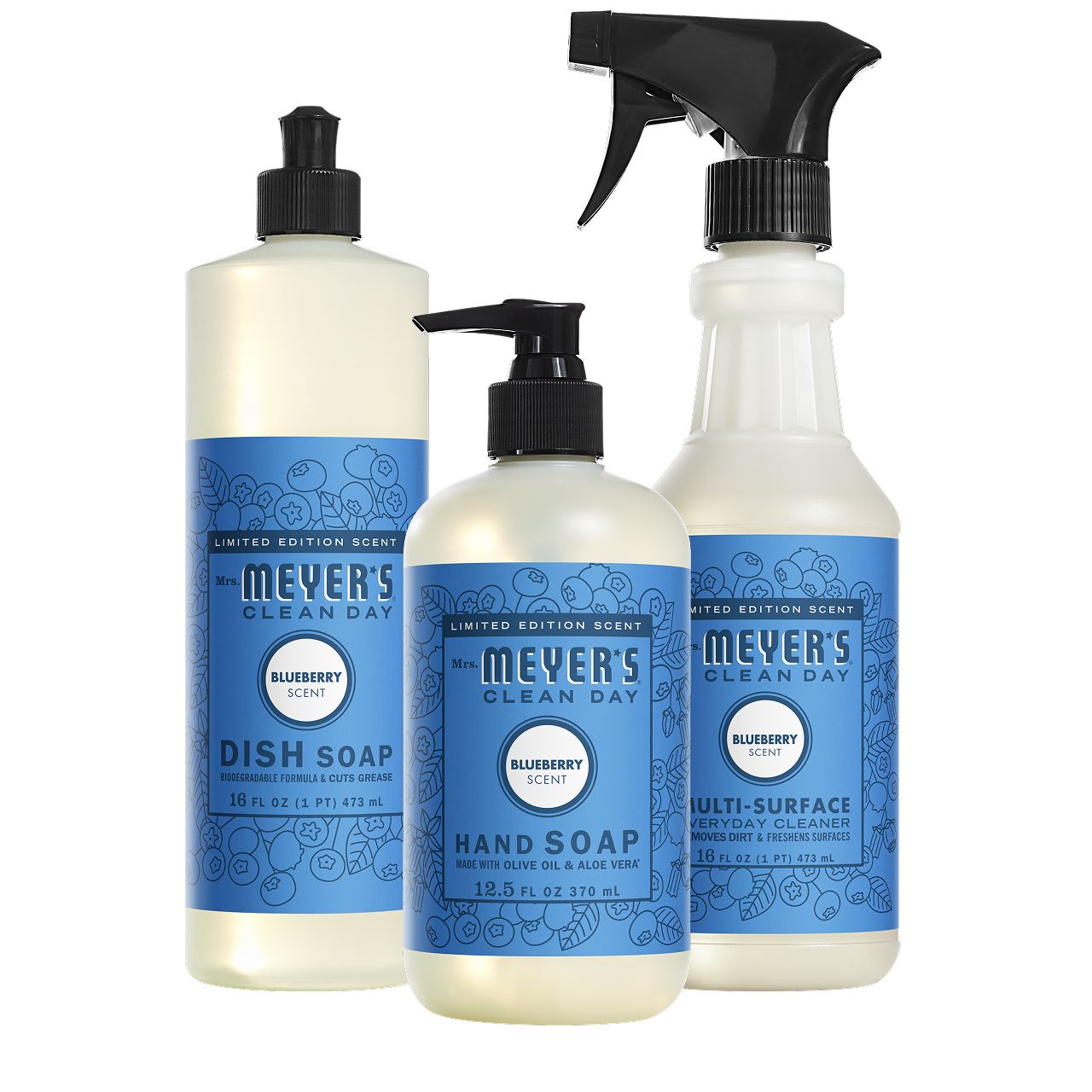 Blueberry Kitchen Basics Set