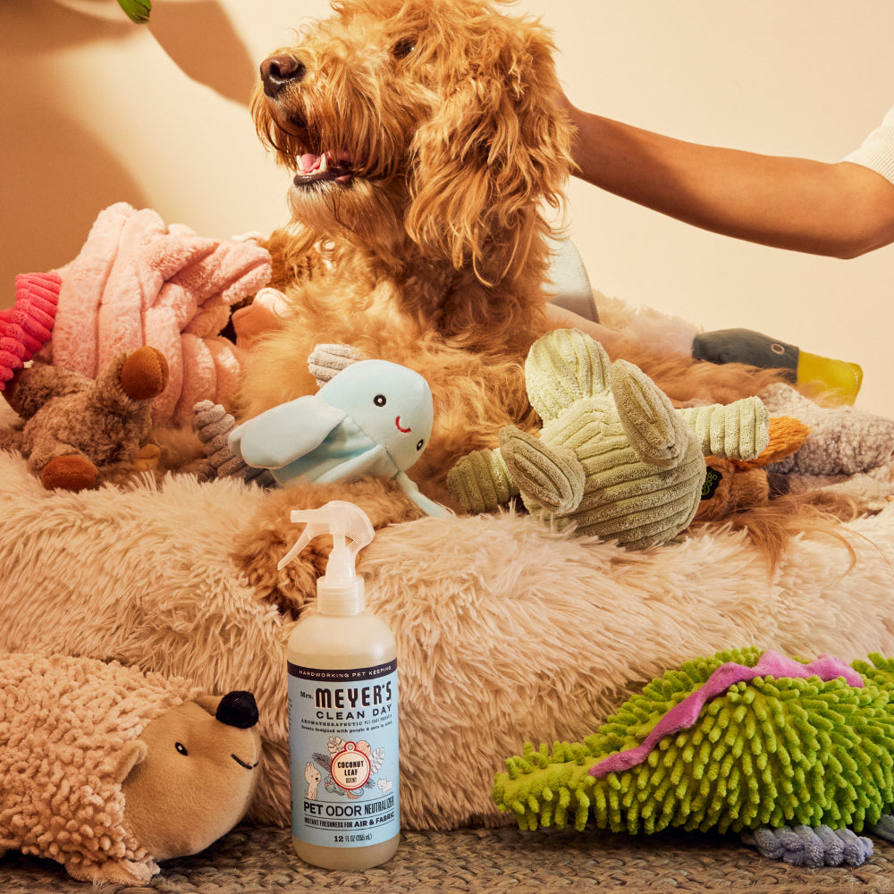 Pet Cleaning Essentials Set