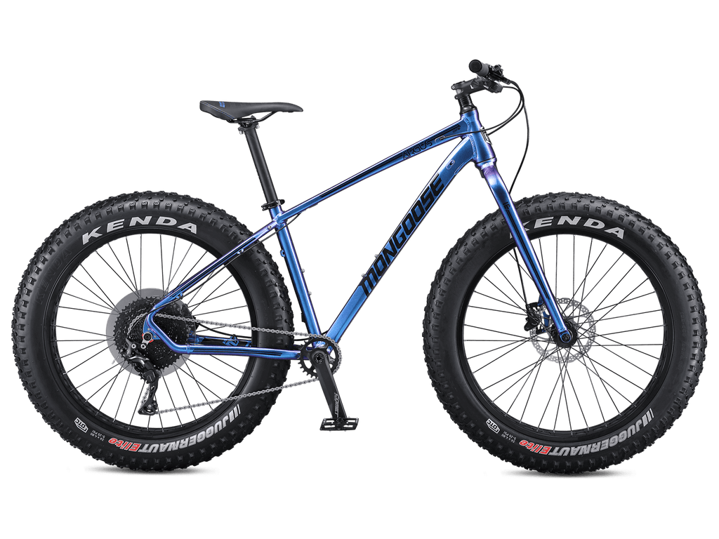 Argus Comp 26in