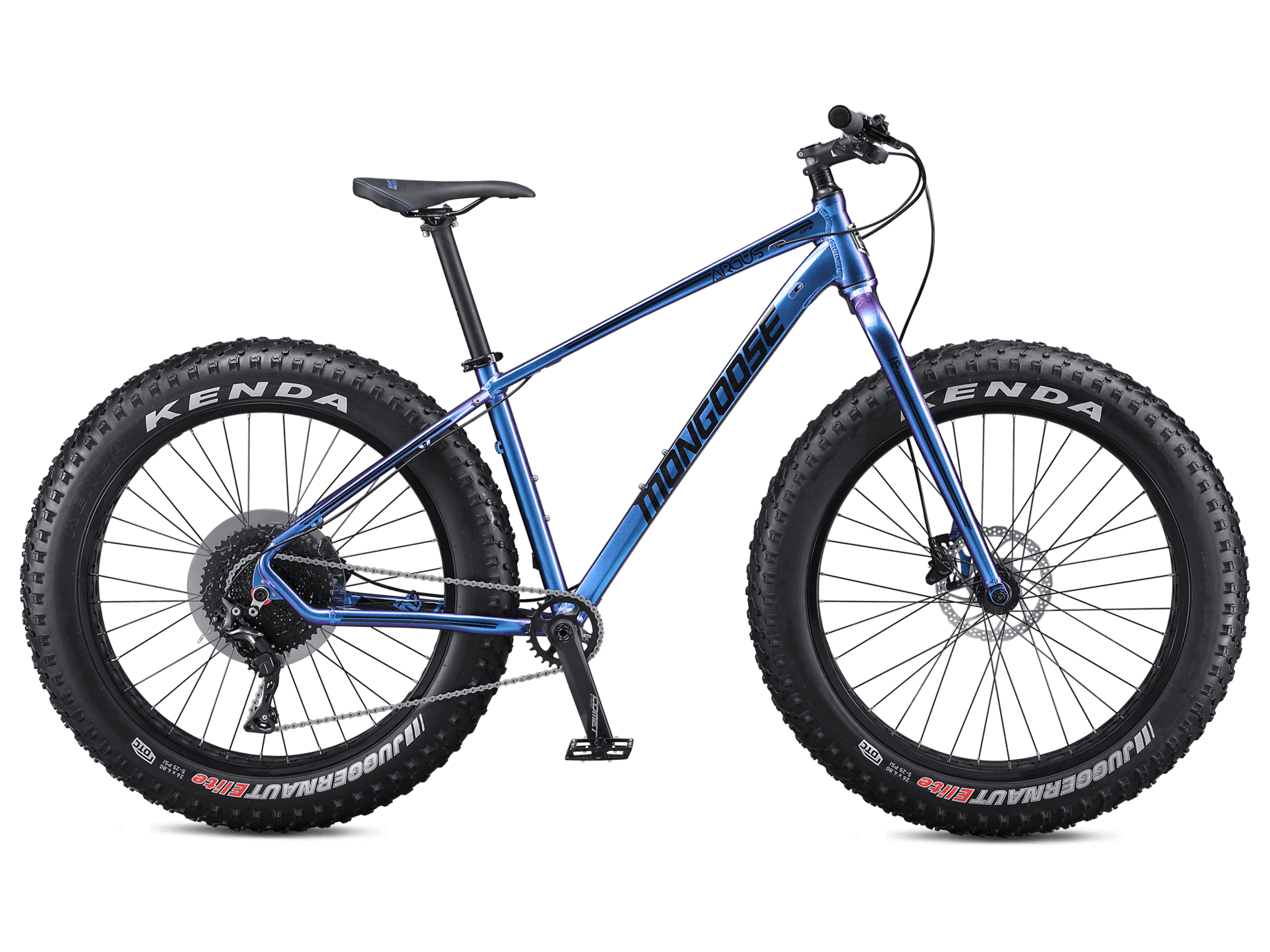 Argus Comp 26in