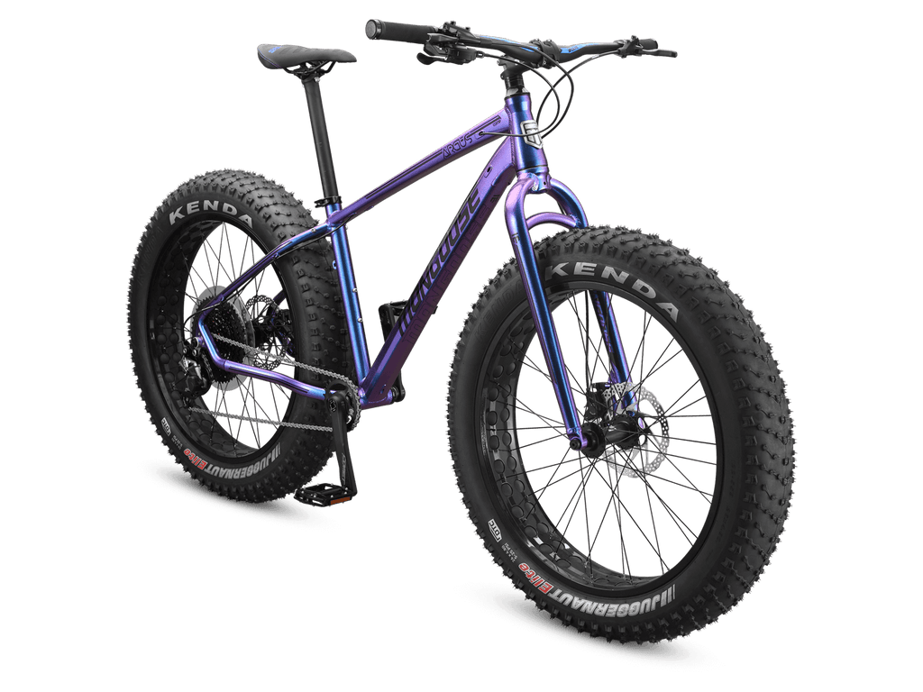 Argus Comp 26in