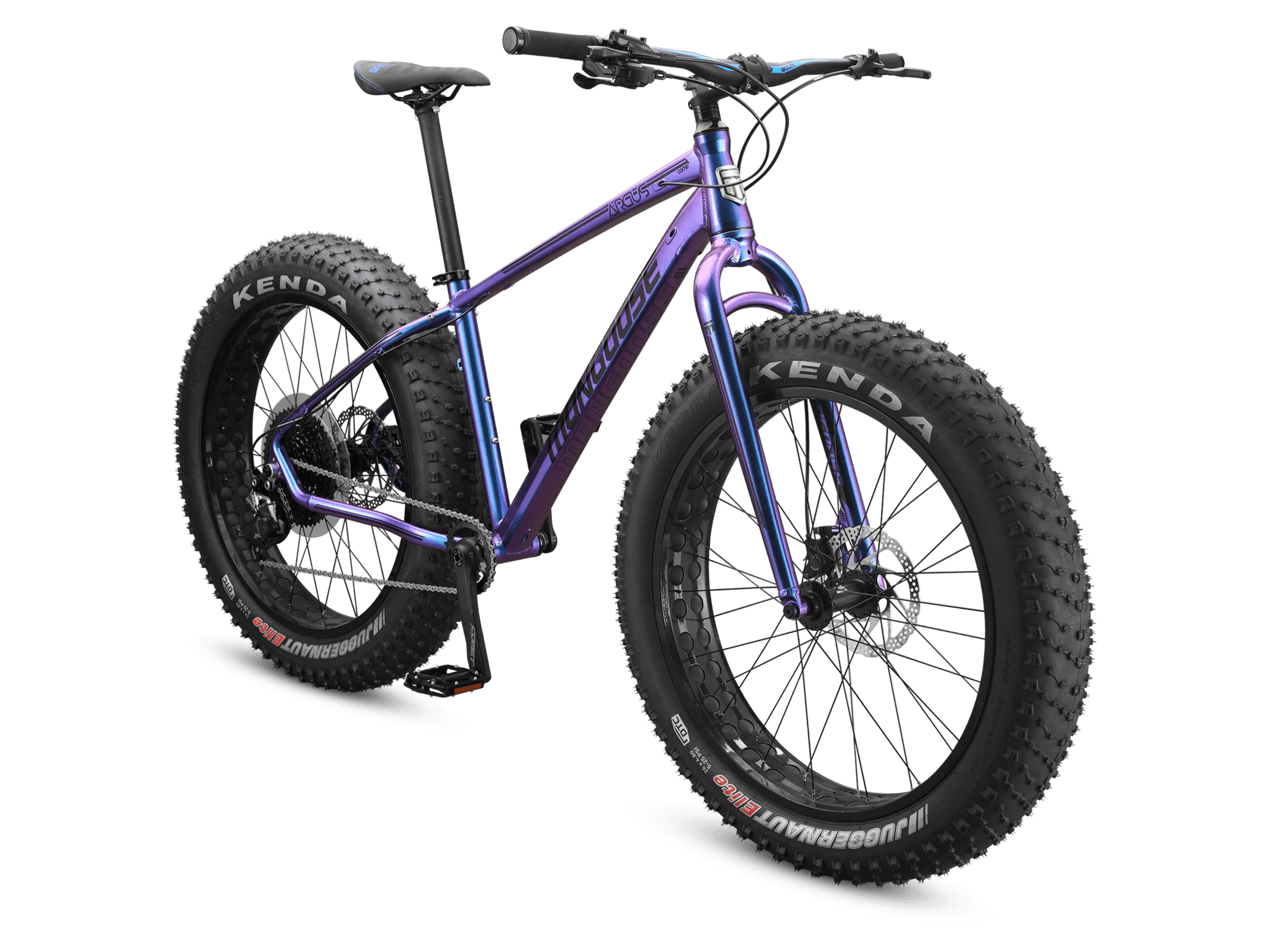 Argus Comp 26in