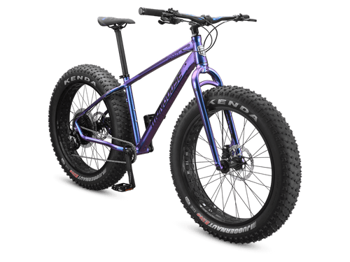 Argus Comp 26in