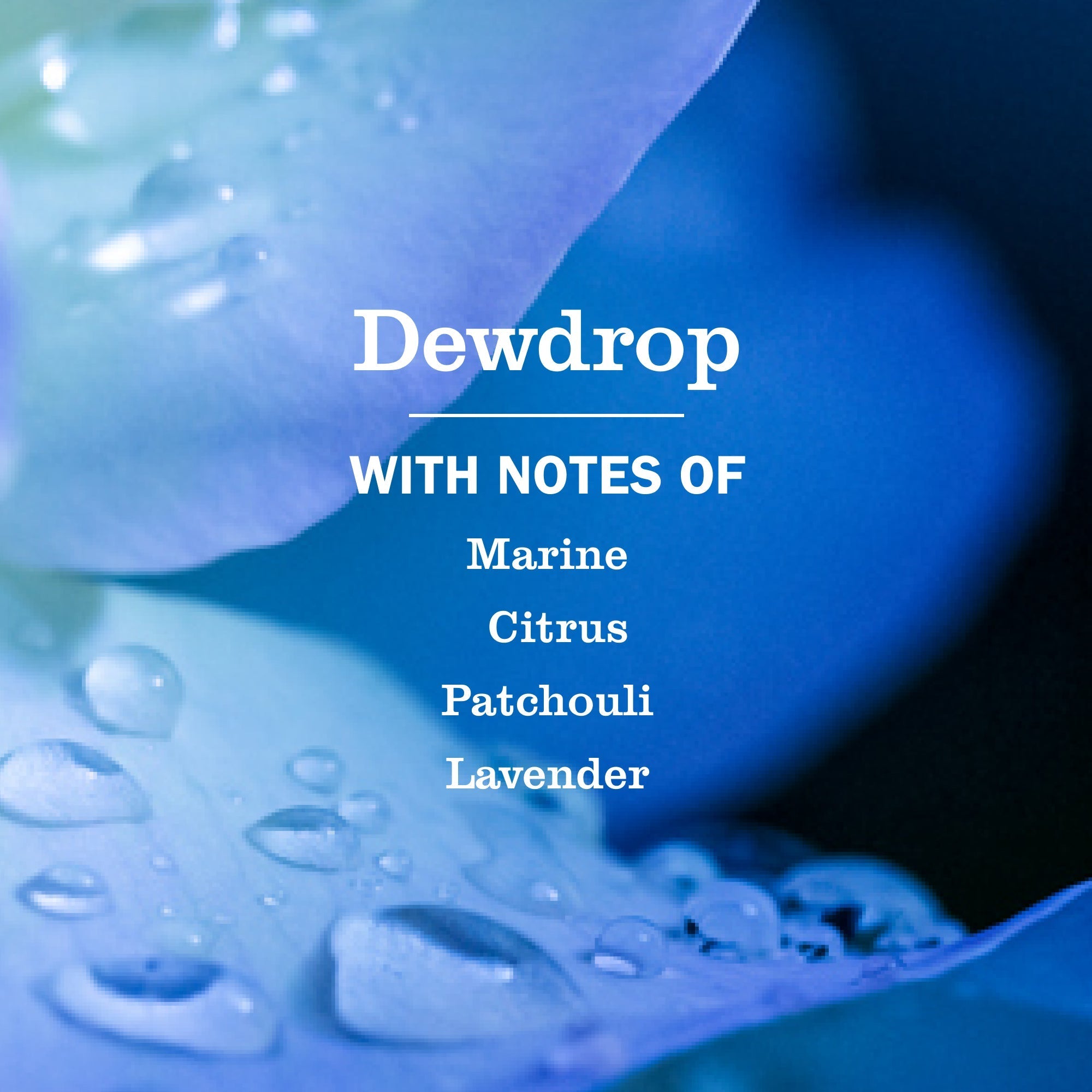 Dewdrop Collection