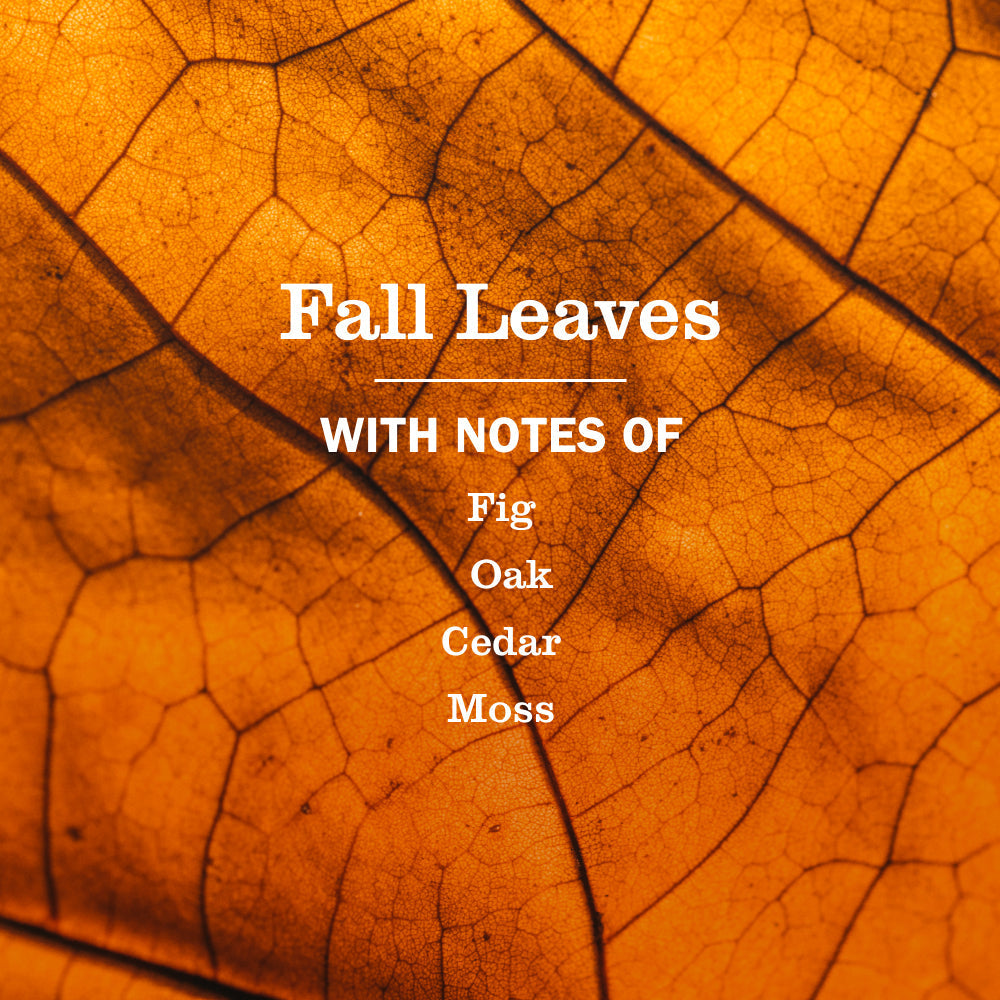 Mrs. Meyer's Fall Leaves Dish Soap