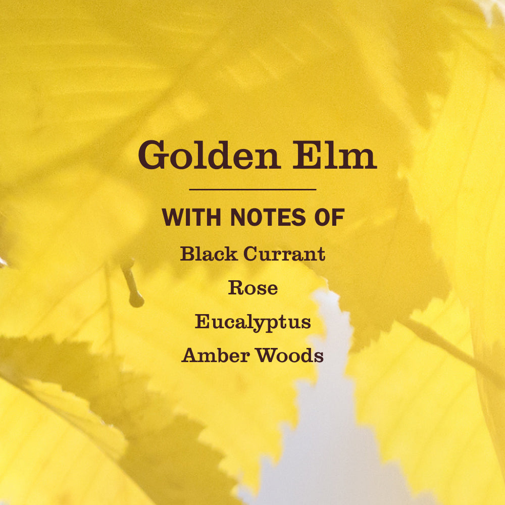 Golden Elm Liquid Hand Soap