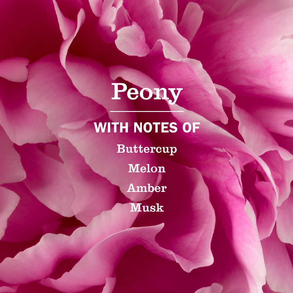 Peony Liquid Hand Soap &amp; Refill Set