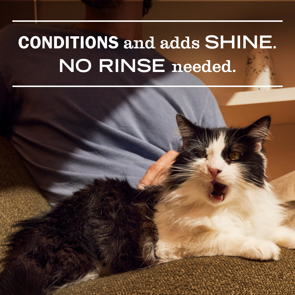 Cat Care Set