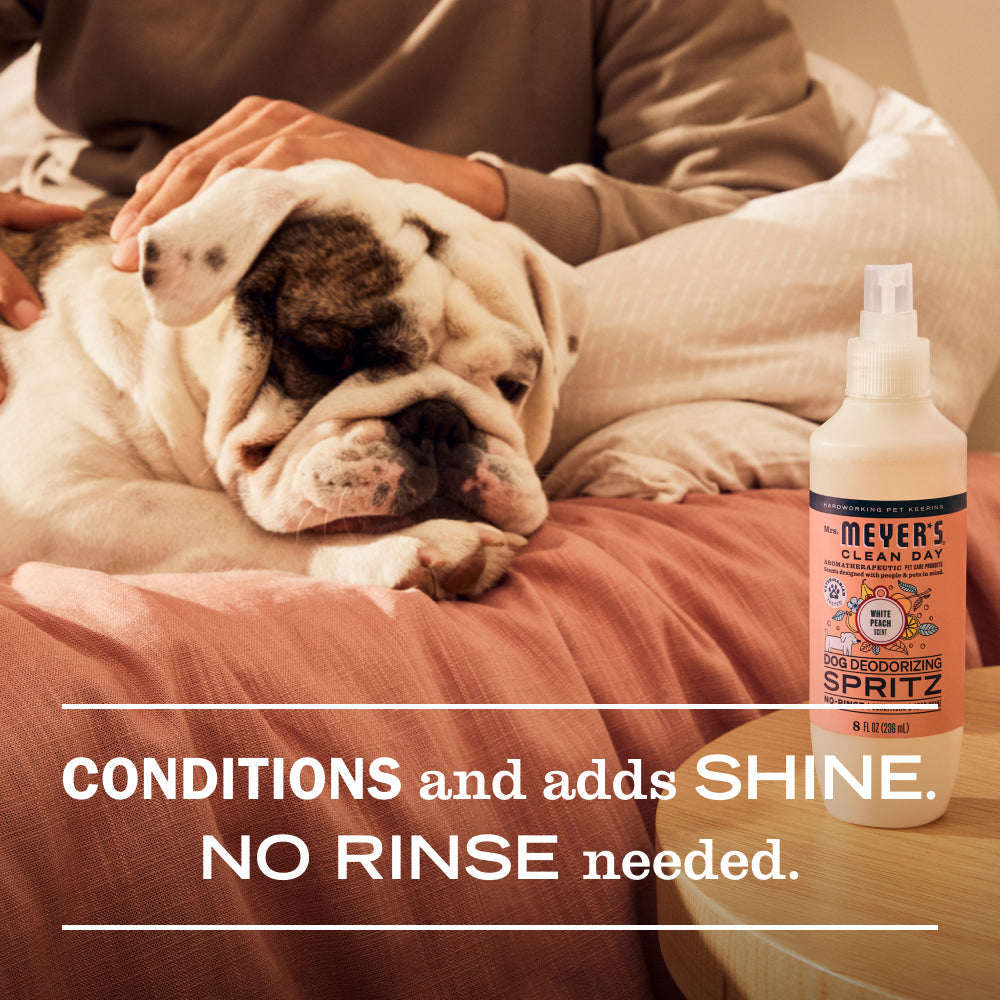 Dog Care Set