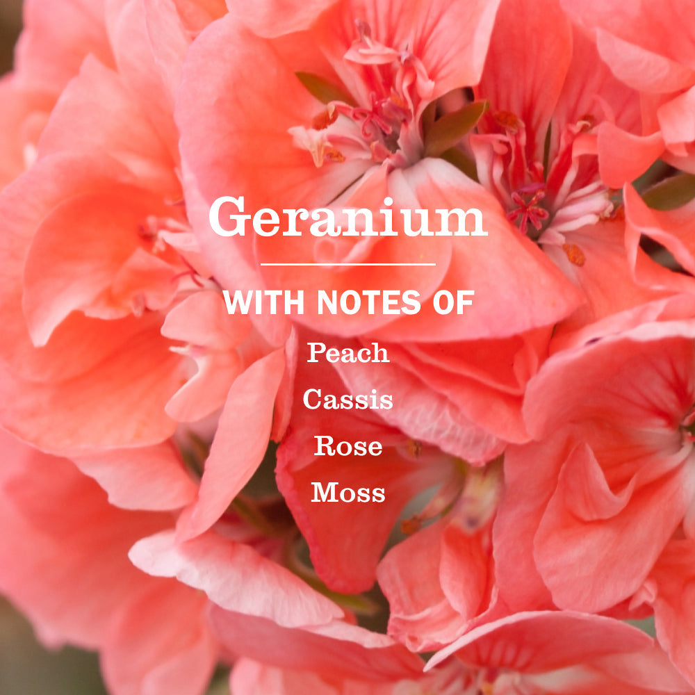 Mrs. Meyer's Geranium Multi-Surface Concentrate