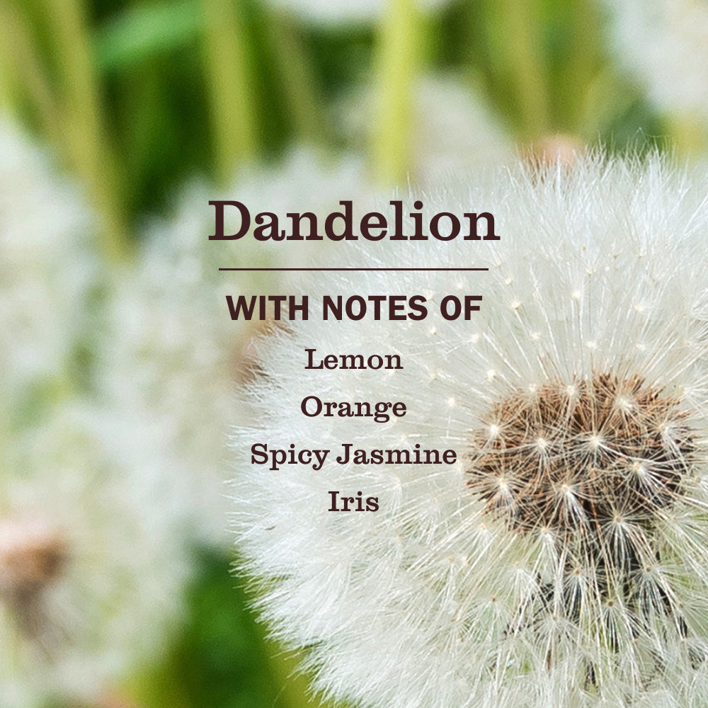 Mrs. Meyer's Dandelion Dish Soap