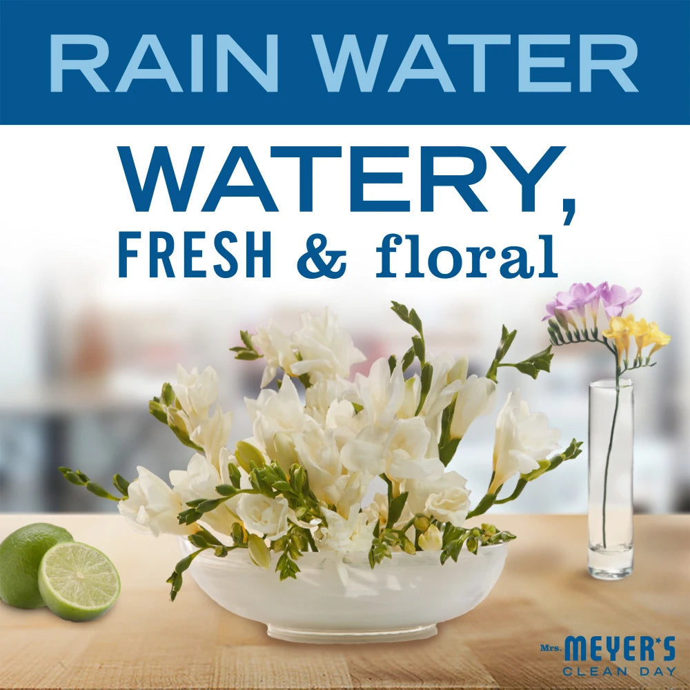 Rain Water Foaming Hand Soap Concentrate Refills 2-Pack