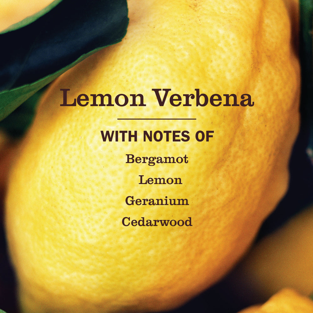 Mrs. Meyer's Lemon Verbena Dish Soap