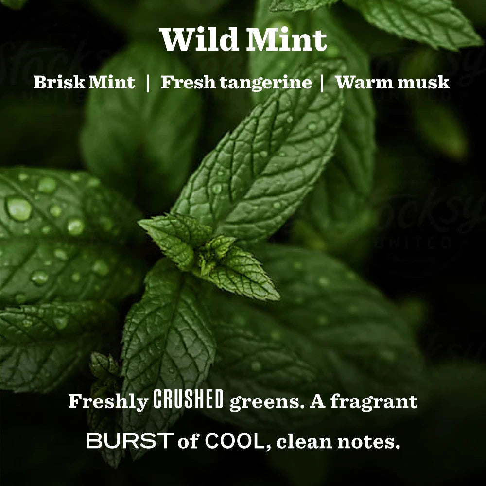 Mrs. Meyer's Wild Mint Garden Heirloom Candle