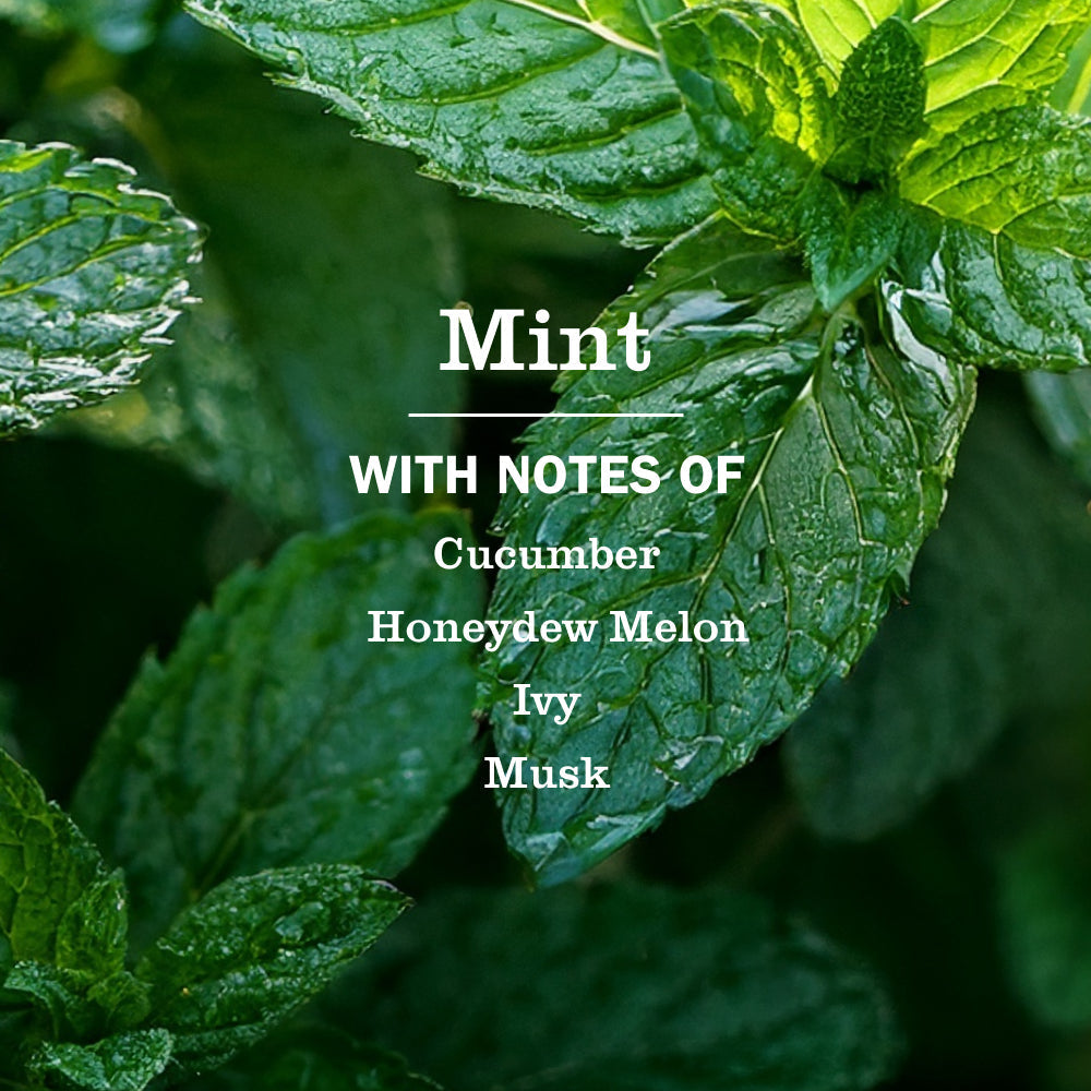 Mrs. Meyer's Mint Liquid Hand Soap