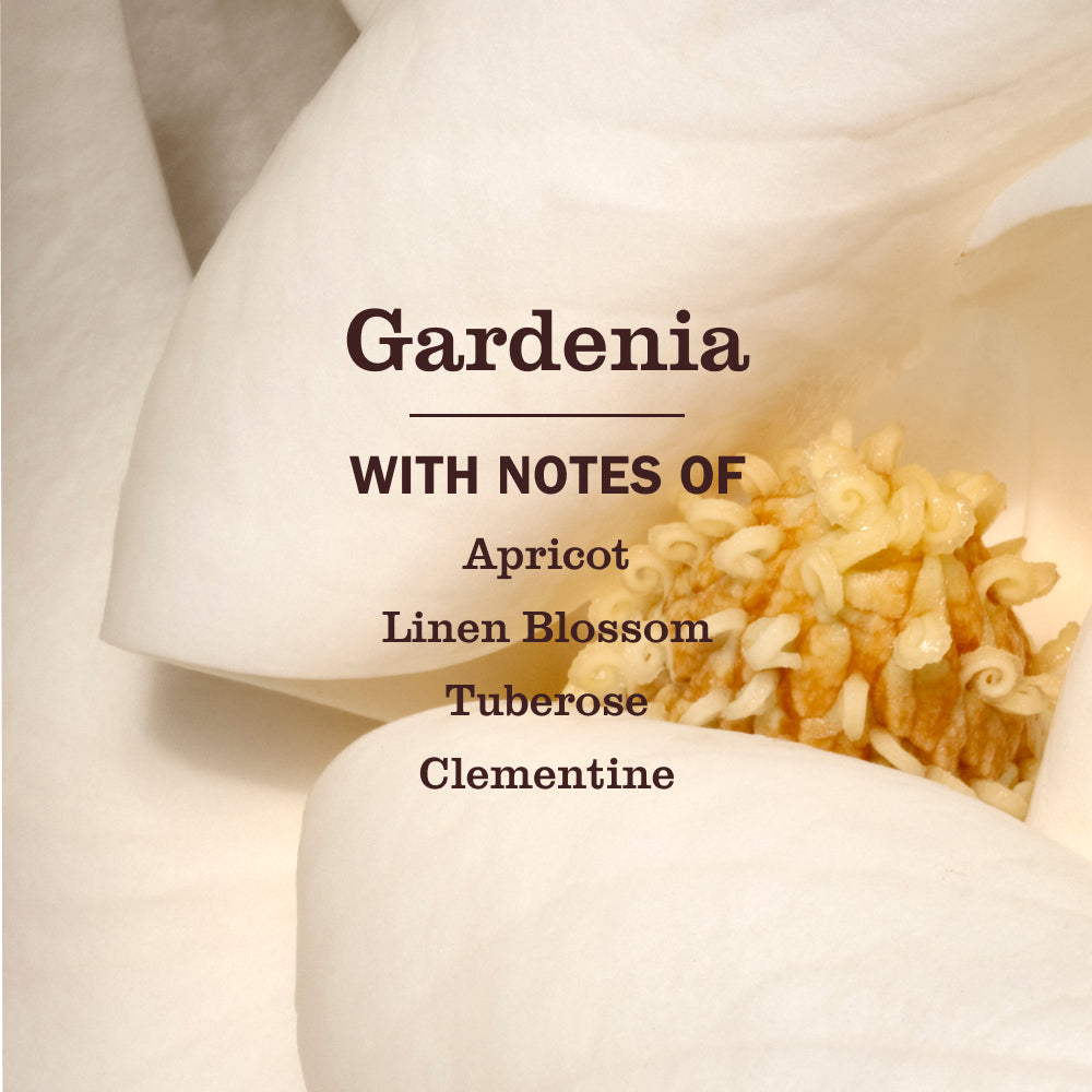 Mrs. Meyer's Gardenia Liquid Hand Soap