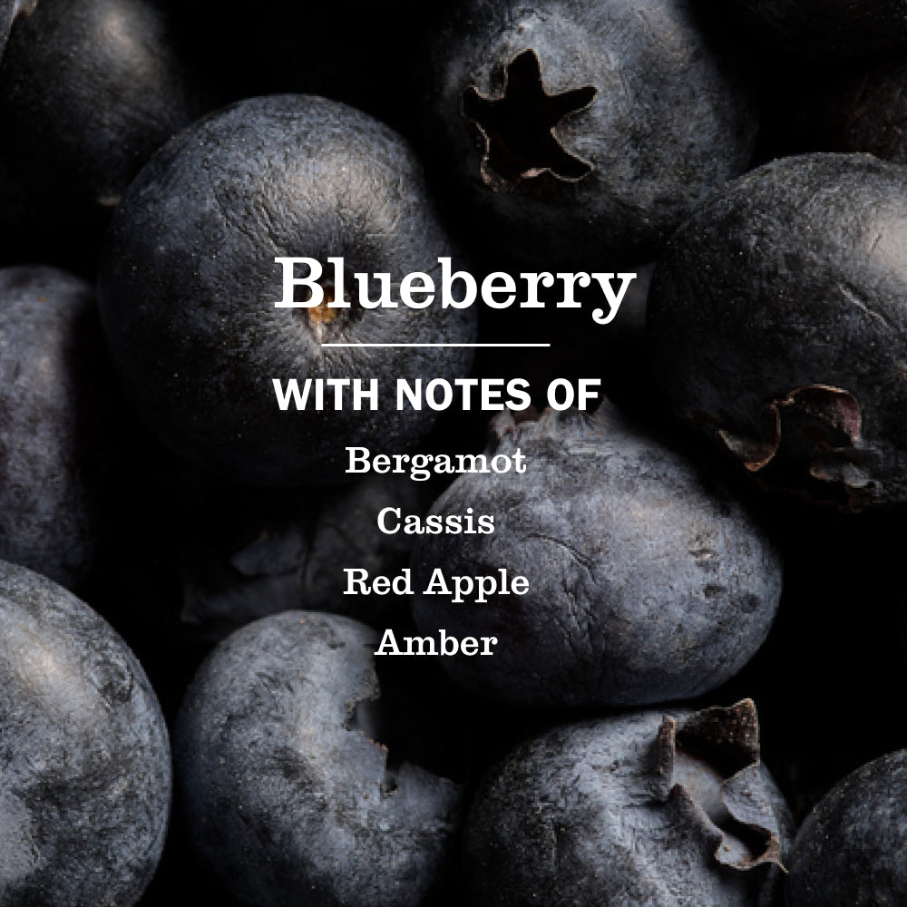 Blueberry Dish Soap