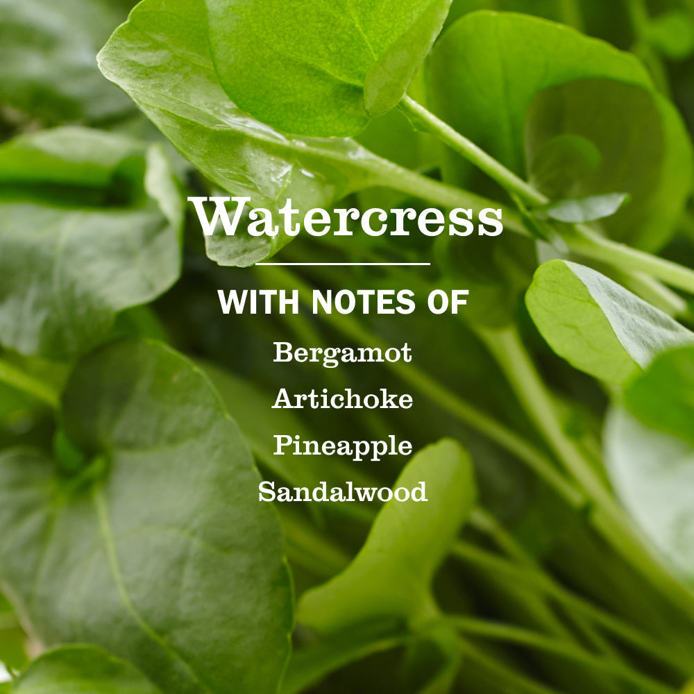 Watercress Liquid Hand Soap