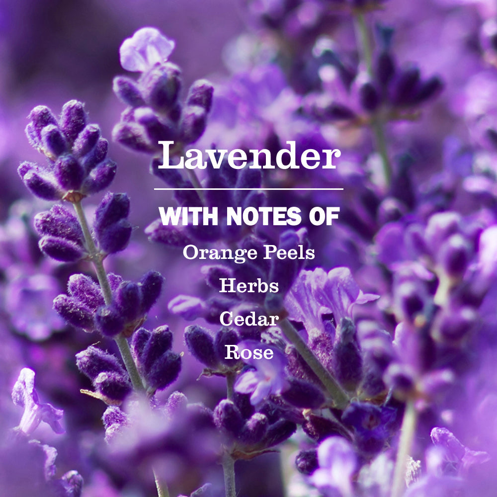 Mrs. Meyer's Lavender Multi-Surface Everyday Cleaner
