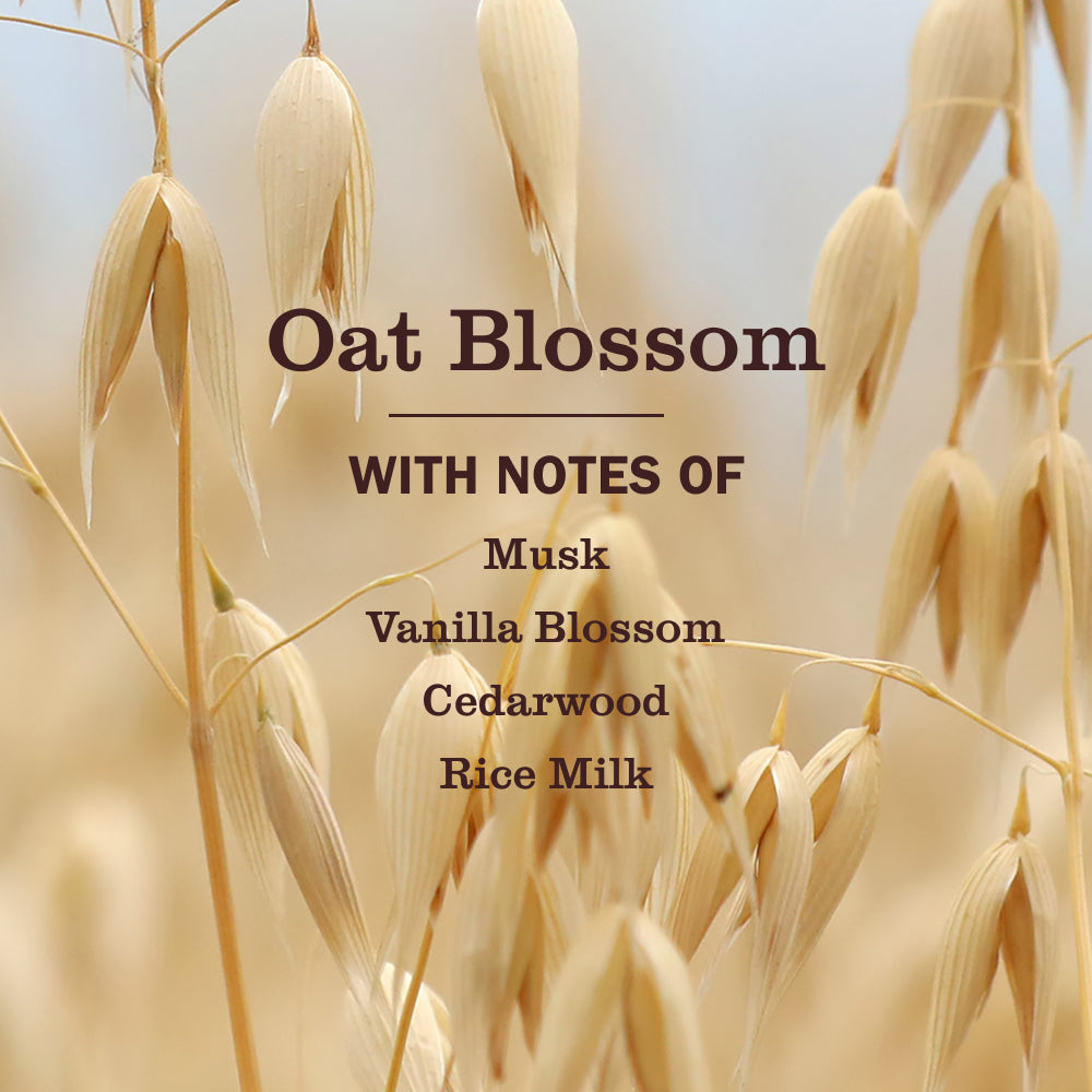 Mrs. Meyer's Oat Blossom Liquid Hand Soap Refill