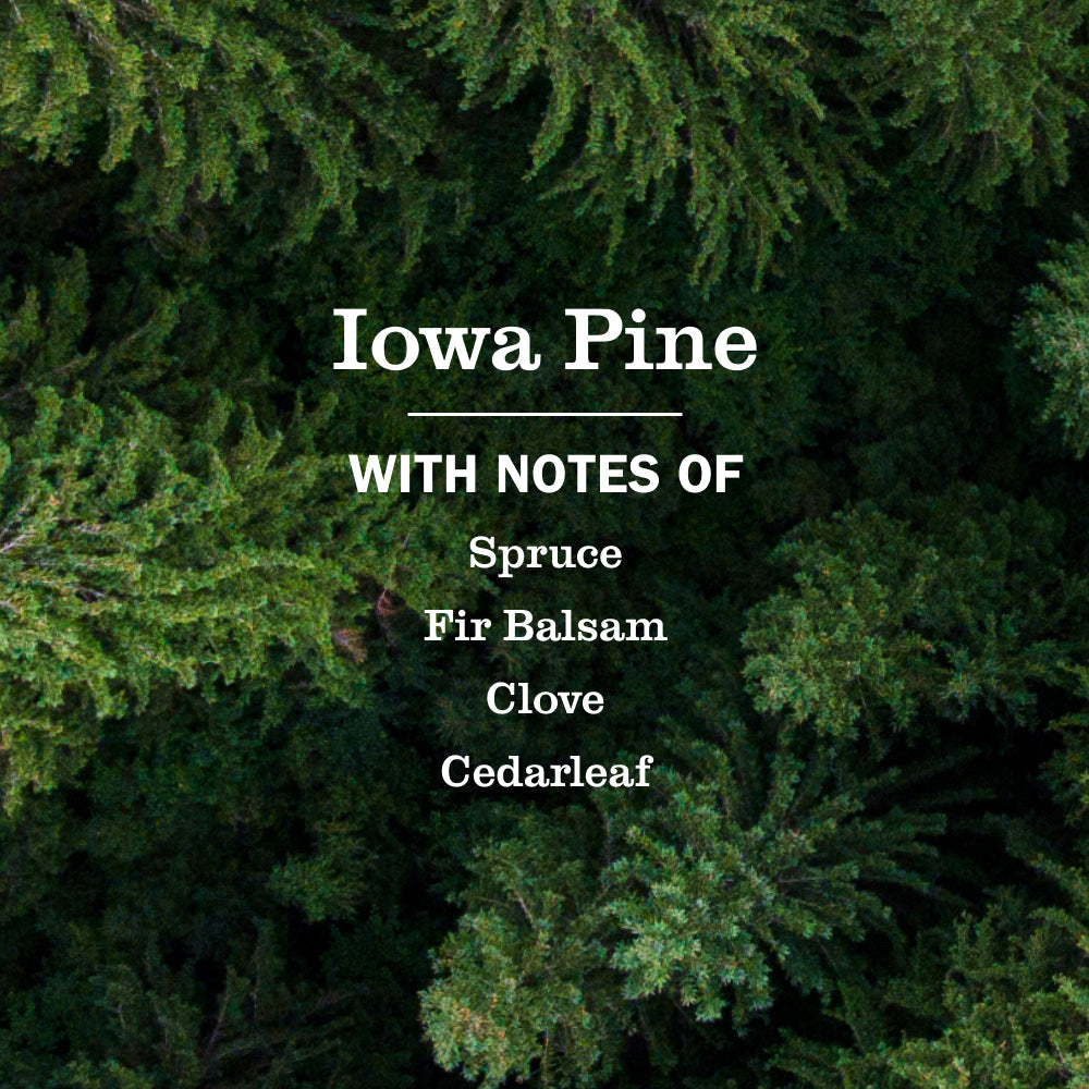 Iowa Pine Liquid Hand Soap &amp; Refill Set