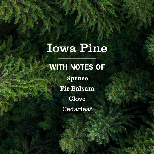 Iowa Pine Liquid Hand Soap &amp; Refill Set