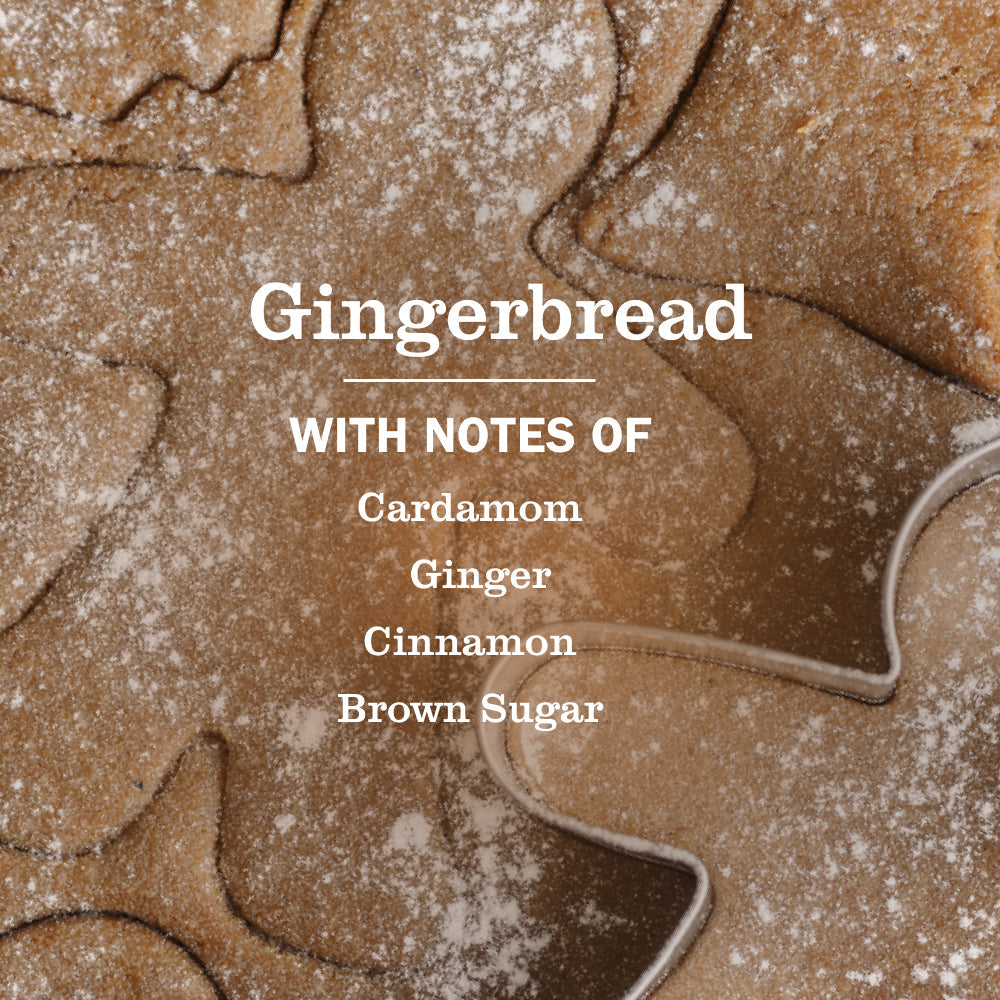 Gingerbread Liquid Hand Soap