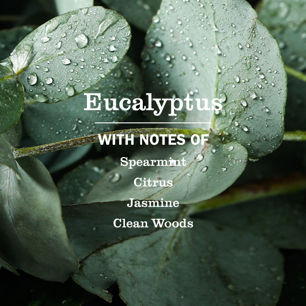 Mrs. Meyer's Eucalyptus Dish Soap