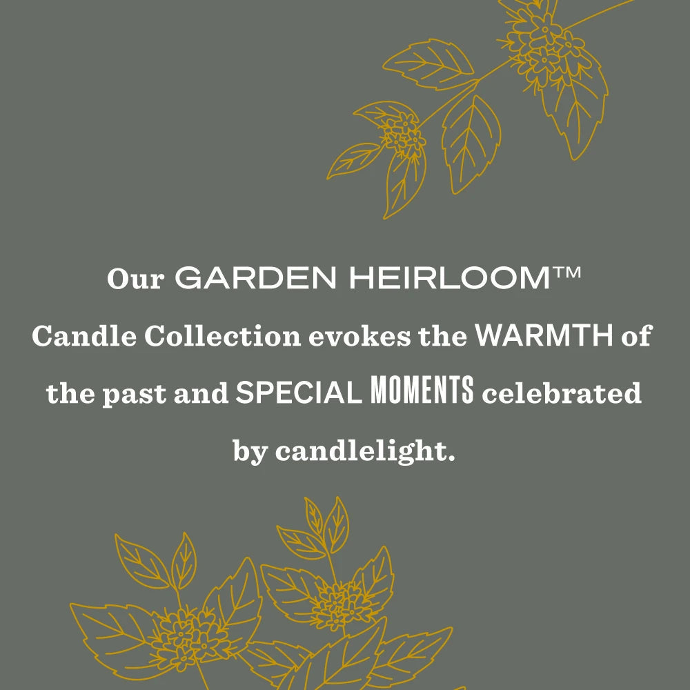 Mrs. Meyer's Wild Mint Garden Heirloom Candle