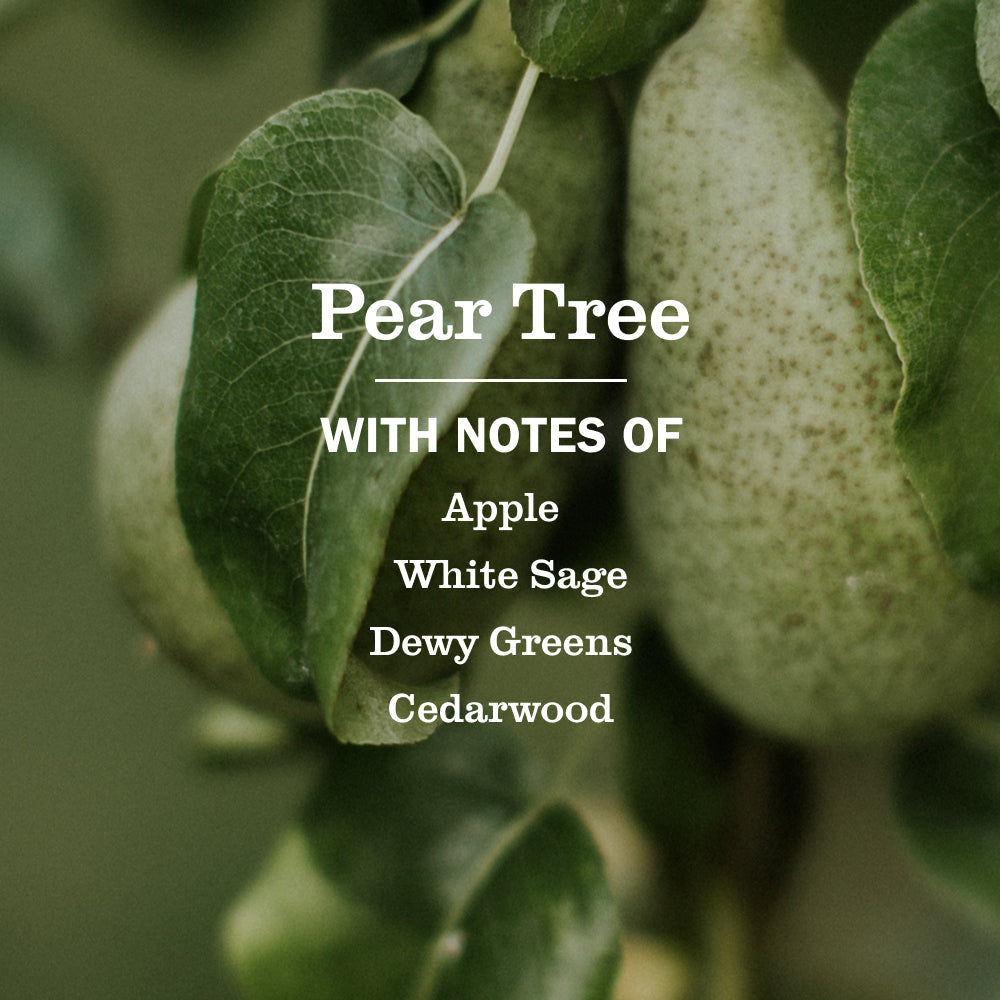 Pear Tree Liquid Hand Soap | Mrs. Meyer's