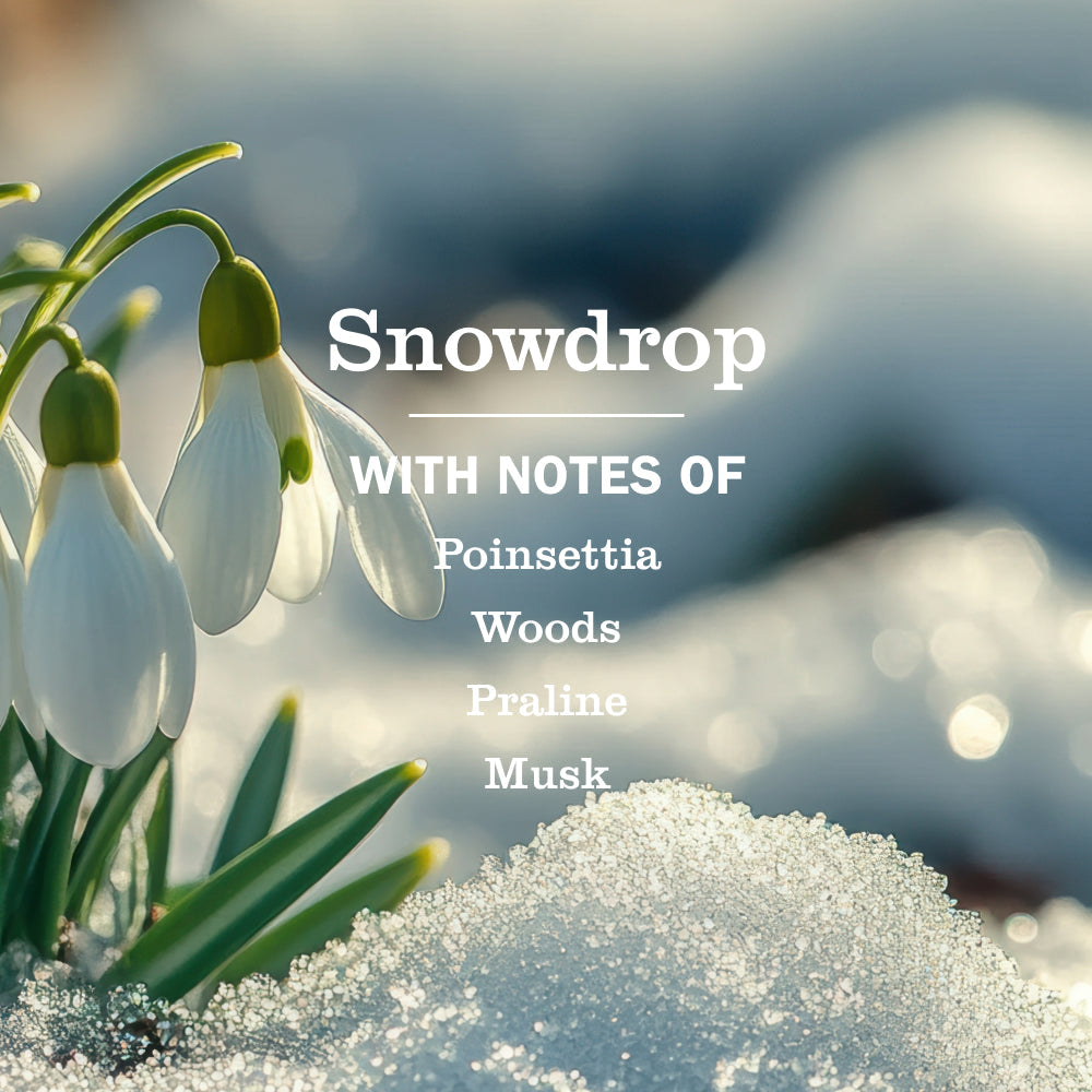 Mrs. Meyer's Snowdrop Liquid Hand Soap Refill