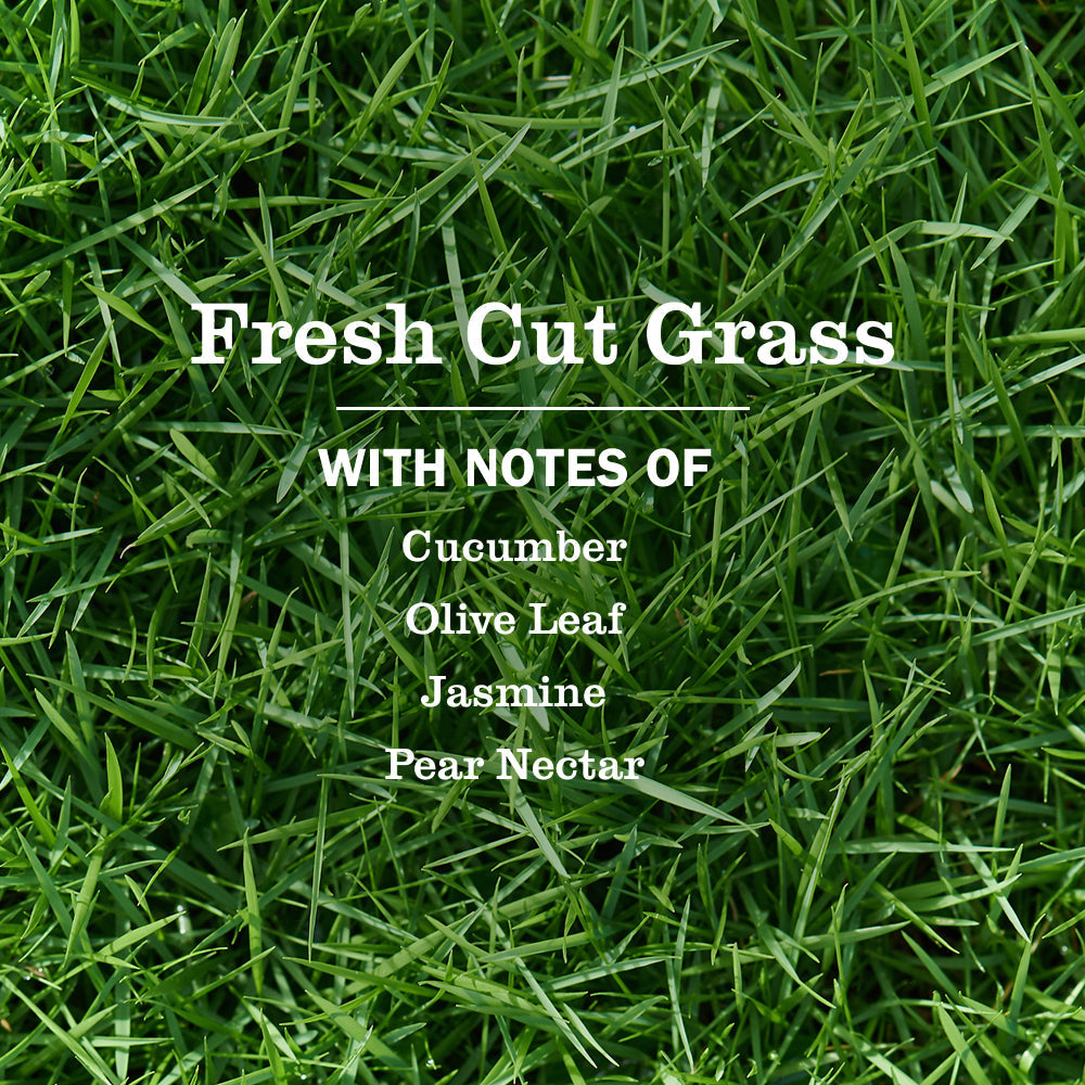 Mrs. Meyer's Fresh Cut Grass Dish Soap 3-count bundle