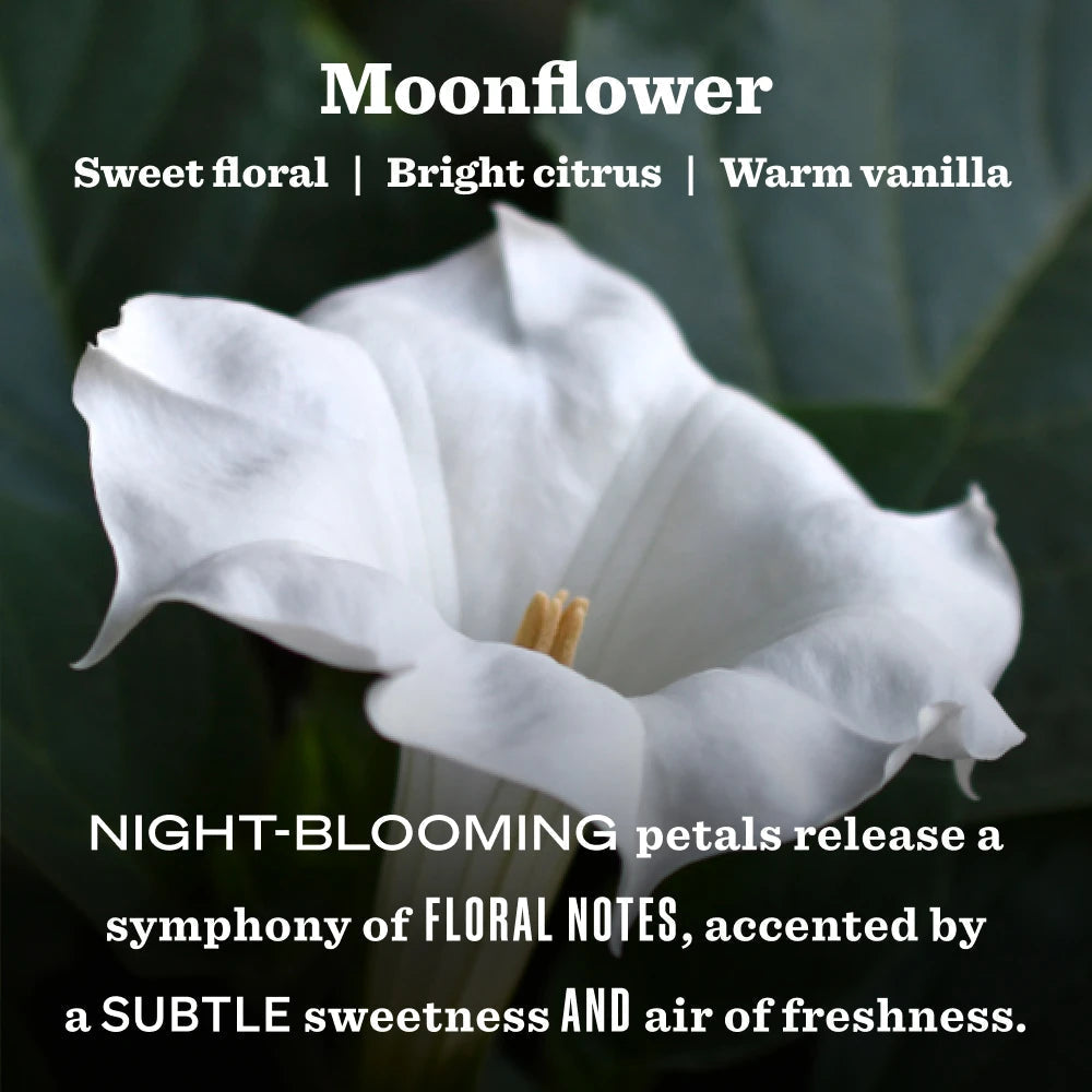 Mrs. Meyer's Moonflower Garden Heirloom Candle