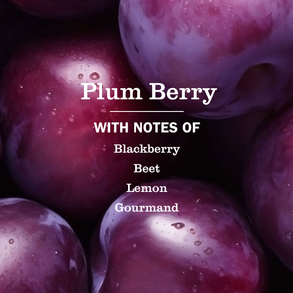 Mrs. Meyer's Plum Berry Liquid Hand Soap Refill