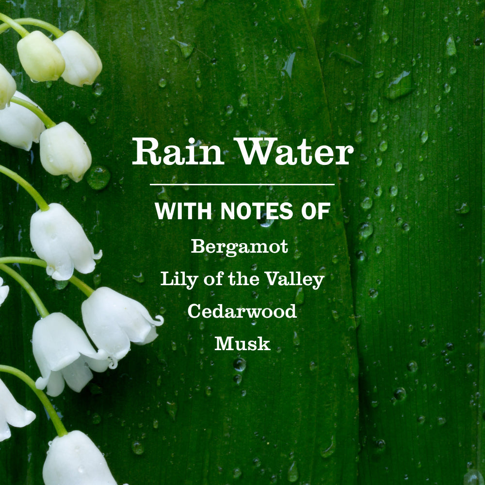 Mrs. Meyer's Rain Water Room Freshener