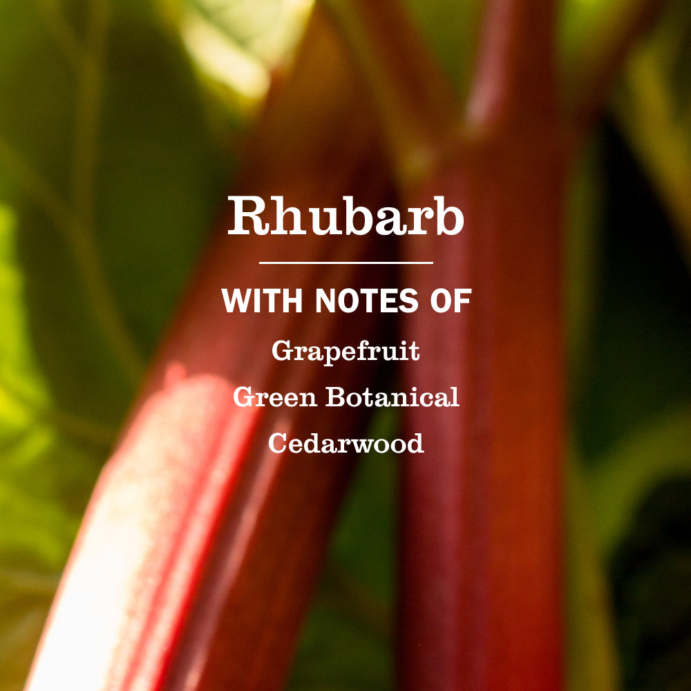 Mrs. Meyer's Rhubarb Liquid Hand Soap