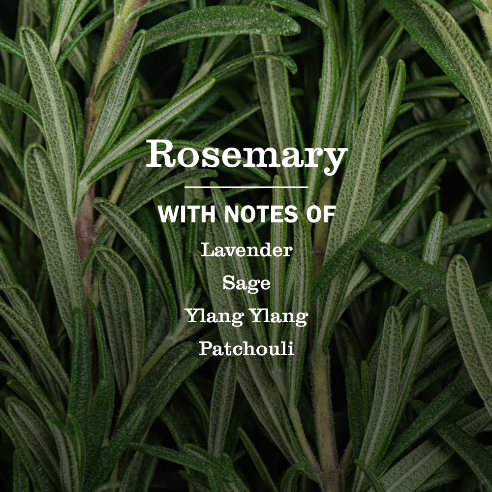 Mrs. Meyer's Rosemary Multi-Surface Everyday Cleaner